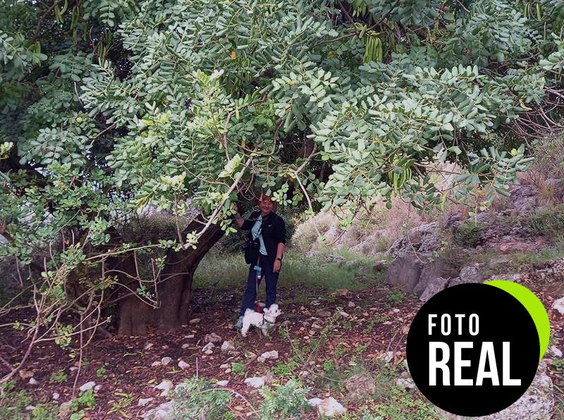 bolso-transportin-perro-foto-1