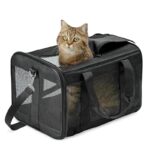 hitslam-transportin-mascotas-portada