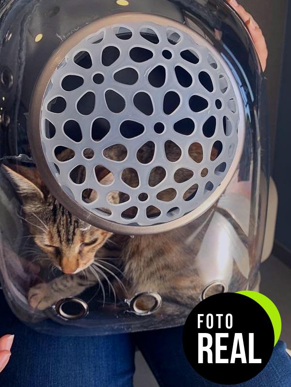 mochila-espacial-mascotas-foto-1