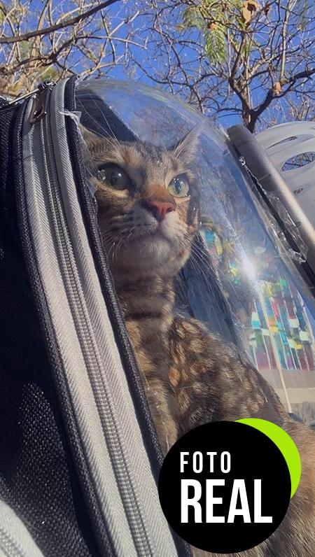 mochila-espacial-mascotas-foto-2