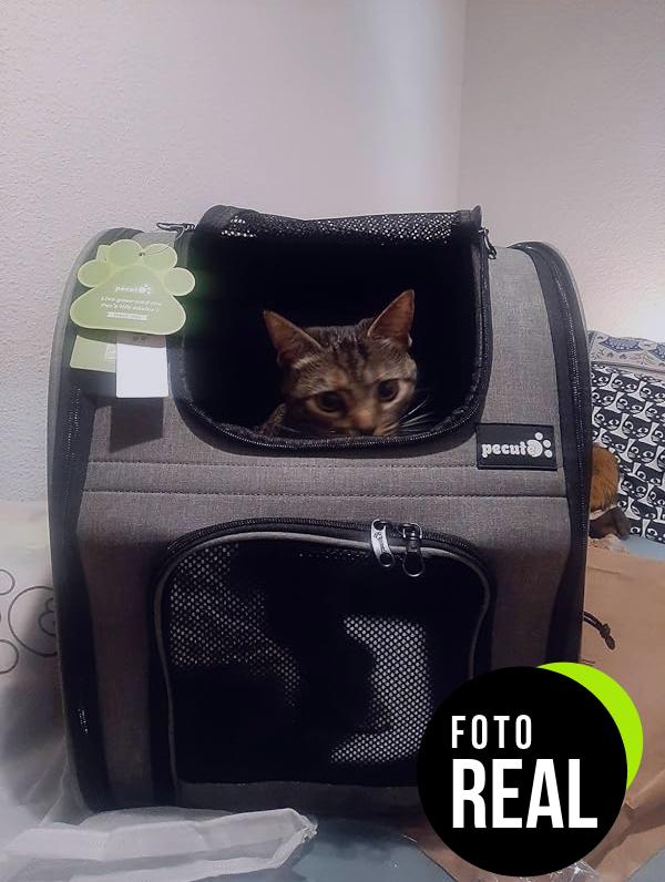 pecute-transportin-mascota-mochila-foto-2