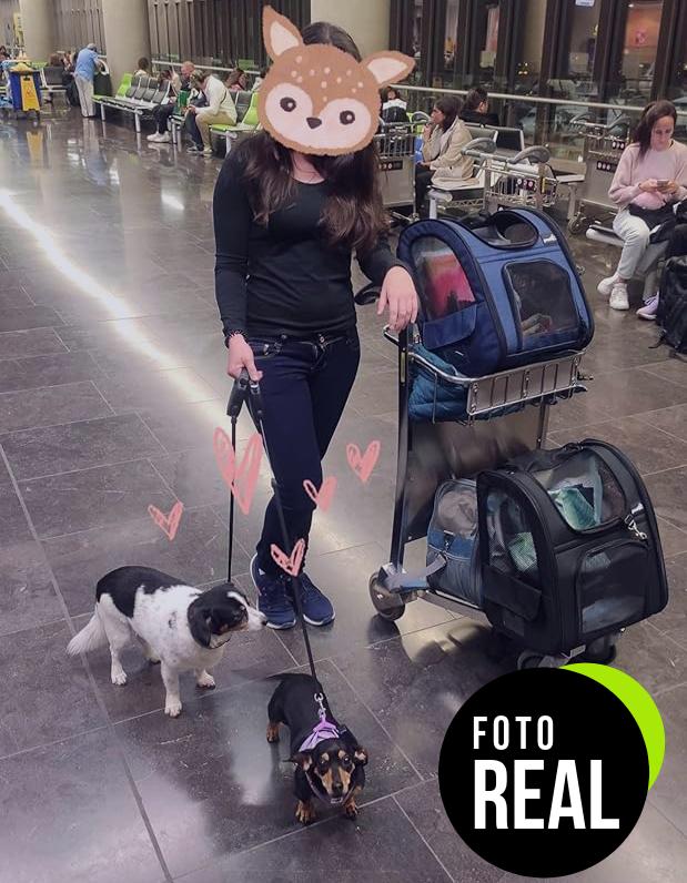 pecute-transportin-mascotas-expandible-foto-3