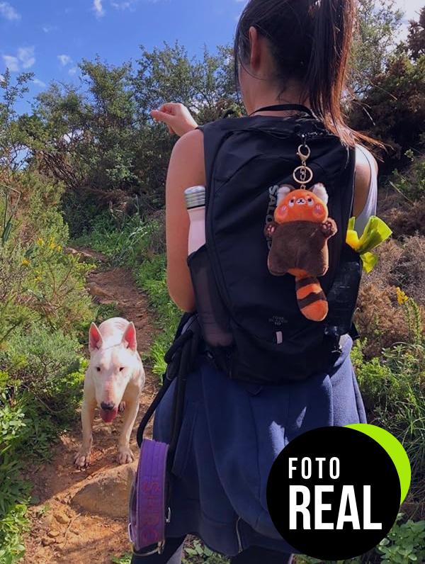 salomon-trailblazer-mochila-senderismo-foto-1