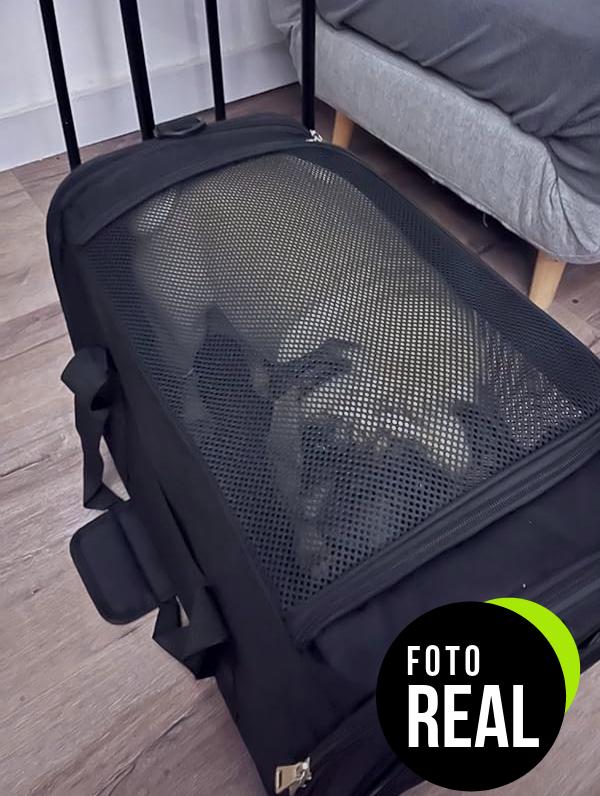 transportin-perro-toffcaea-foto-1